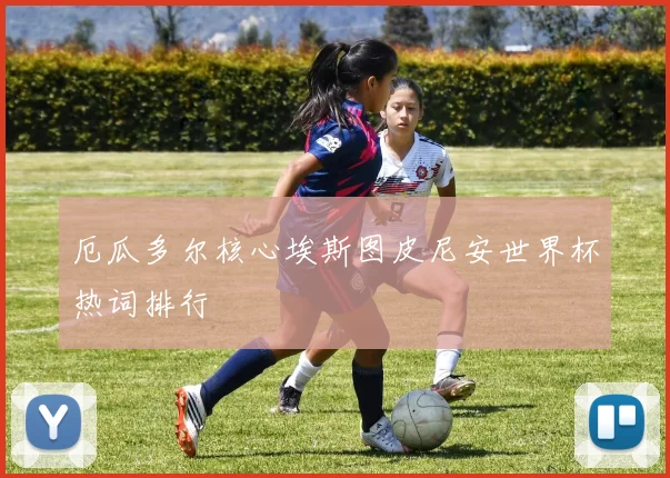 厄瓜多尔核心埃斯图皮尼安世界杯热词排行