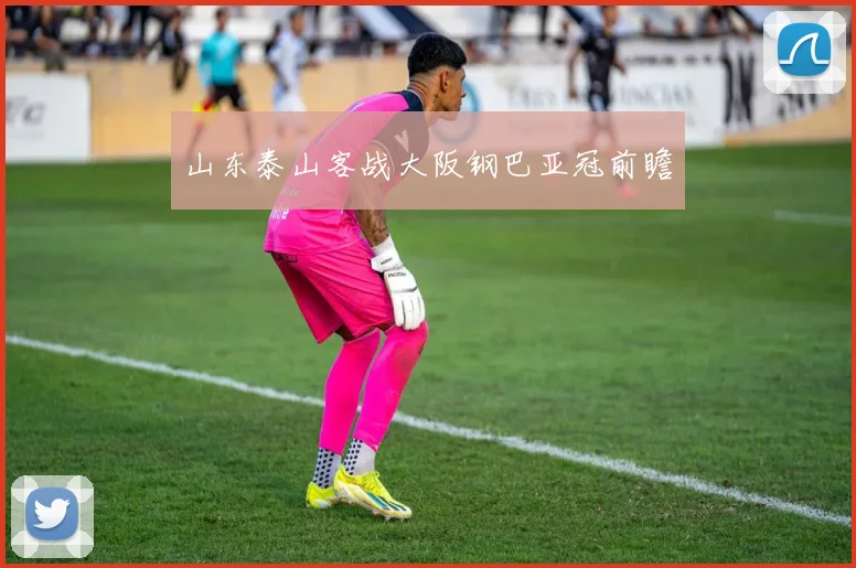 山东泰山客战大阪钢巴亚冠前瞻