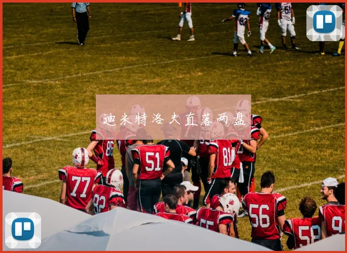 迪米特洛夫直落两盘