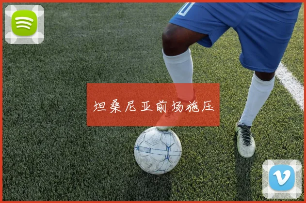 坦桑尼亚前场施压