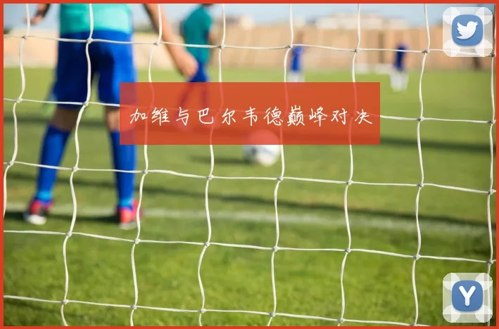 加维与巴尔韦德巅峰对决