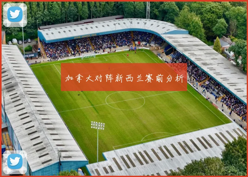 加拿大对阵新西兰赛前分析