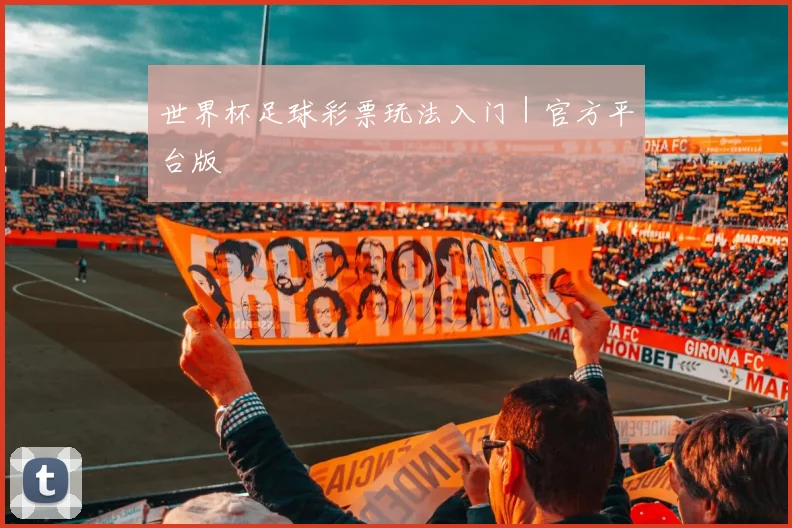 世界杯足球彩票玩法入门｜官方平台版