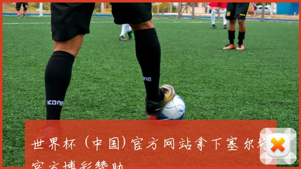 世界杯 (中国)官方网站拿下塞尔塔官方博彩赞助