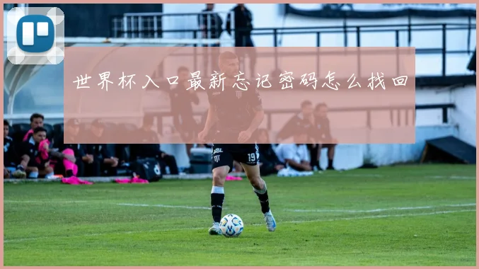 世界杯入口最新忘记密码怎么找回